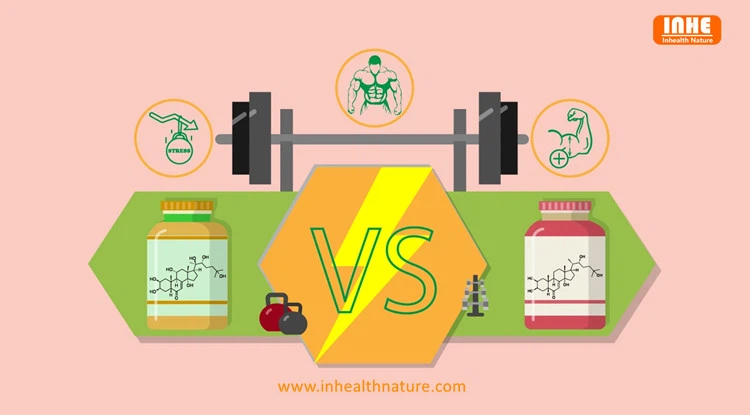 Turkesterone vs Ecdysterone Turkesterone vs Ecdysterone