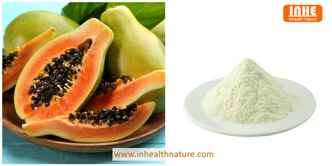Papaya and Papain Enzyme Powder