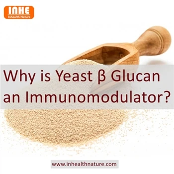 Per què el llevat glucà és un immunomodulador?
