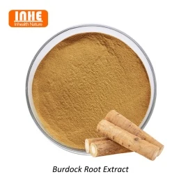 Quins són els ingredients actius bàsics de l'extracte de bardana?