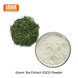 Extracte de te verd vs extracte de matcha